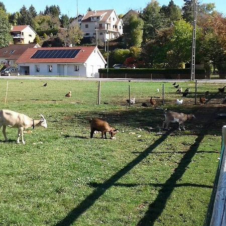 Chambre D'Hotes Des Poisets Crotenay Zewnętrze zdjęcie